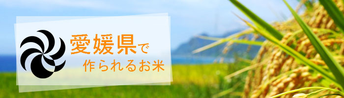 愛媛県の特徴