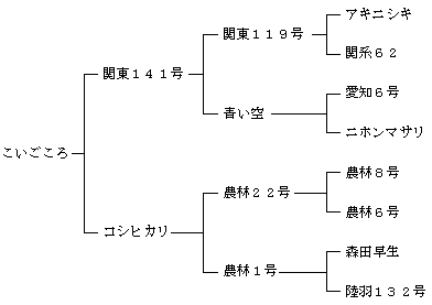 こいごころの来歴