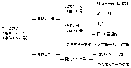 コシヒカリの来歴