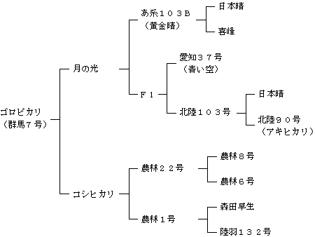 ゴロピカリの来歴