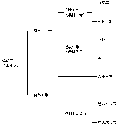 越路早生の来歴