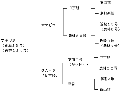 アキツホの来歴