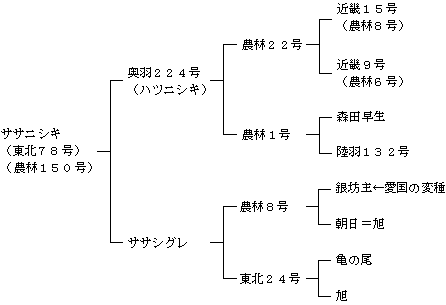 ササニシキの来歴