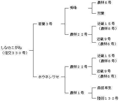 しなのこがねの来歴