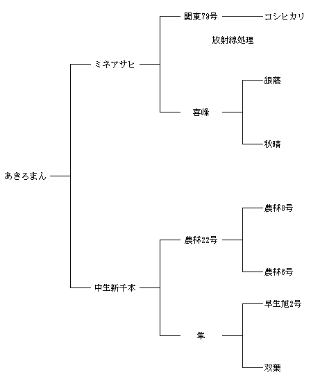 あきろまんの来歴