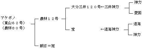 アケボノの来歴