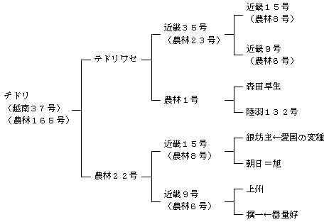 チドリの来歴