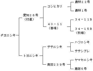 チヨニシキの来歴