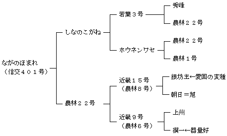 ながのほまれの来歴