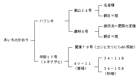 あいちのかおりの来歴