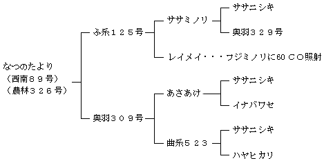 なつのたよりの来歴