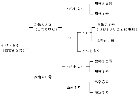 ナツヒカリの来歴