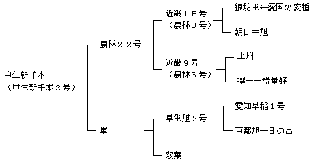 中生新千本の来歴