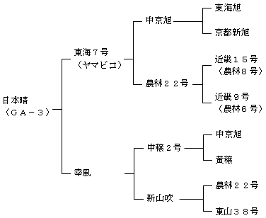 日本晴の来歴