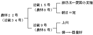 農林22号の来歴