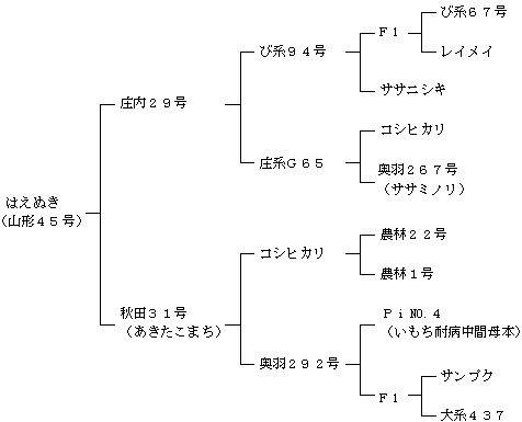 はえぬきの来歴