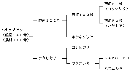 ハナエチゼンの来歴