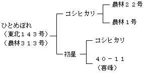 ひとめぼれの来歴