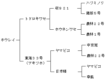 ホウレイの来歴