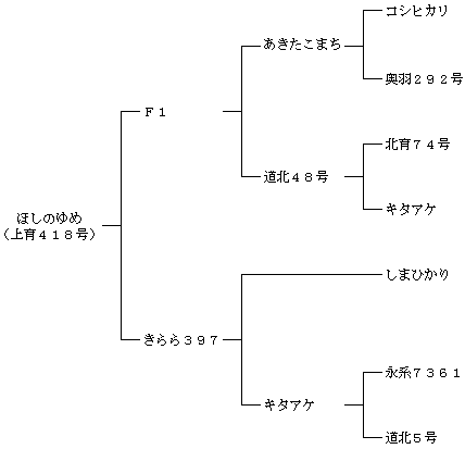 ほしのゆめ及びほしたろうの来歴