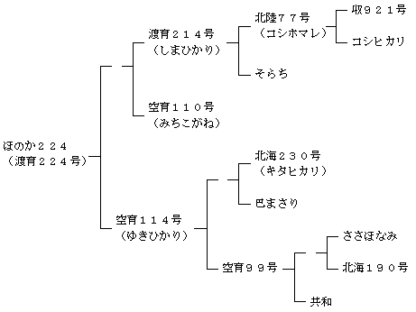 ほのか224の来歴