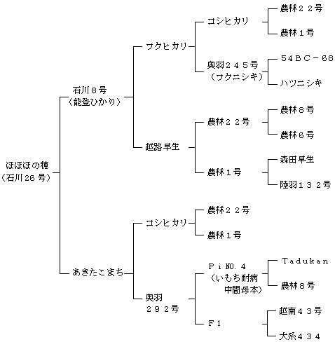 ほほほの穂の来歴