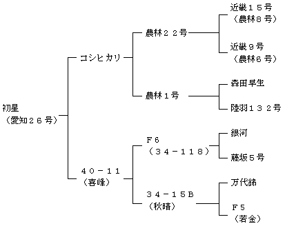 初星の来歴