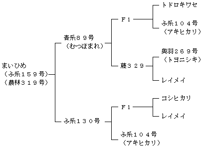 まいひめの来歴