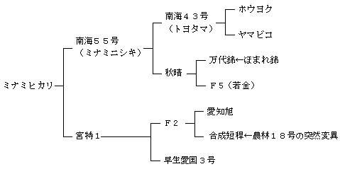 ミナミヒカリの来歴