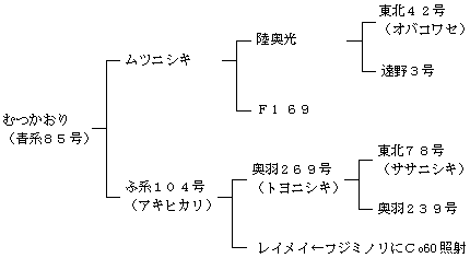 むつかおりの来歴