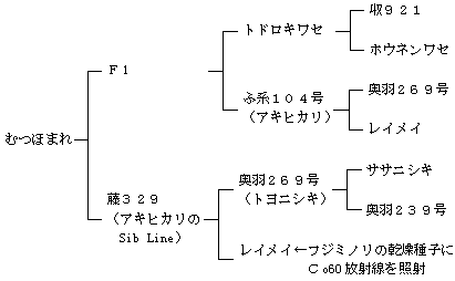 むつほまれの来歴