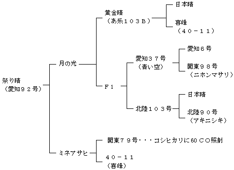 祭り晴の来歴