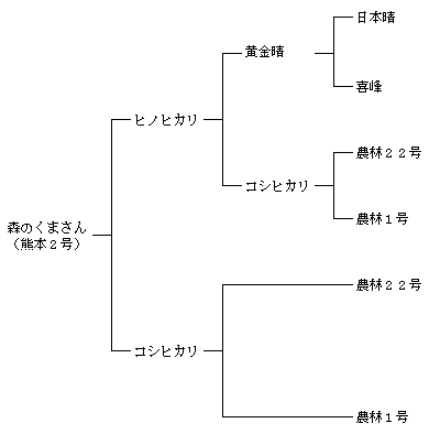 森のくまさんの来歴