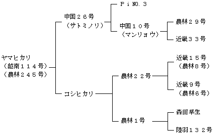 ヤマヒカリの来歴