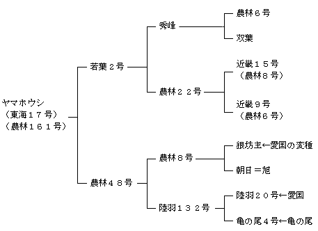 ヤマホウシの来歴