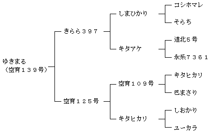 ゆきまるの来歴