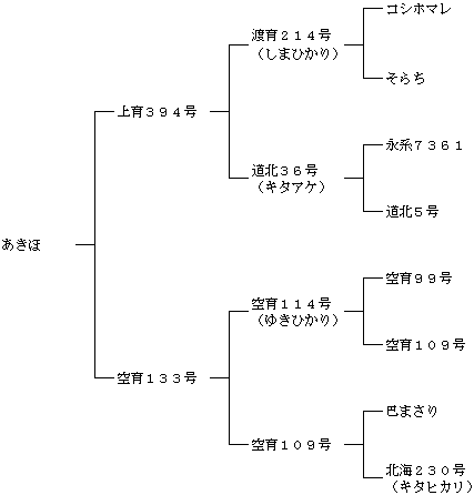 おぼろづき及びあきほの来歴