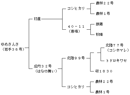 ゆめさんさの来歴