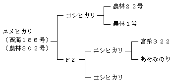 ユメヒカリの来歴