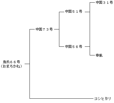 おまちかねの来歴