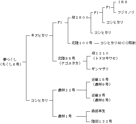 夢つくしの来歴