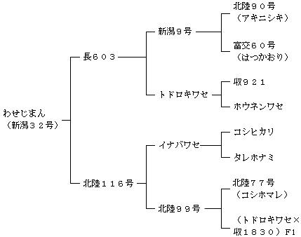 わせじまんの来歴