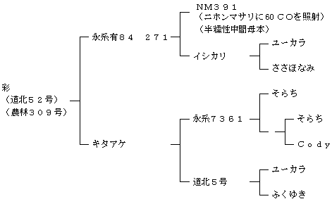 彩の来歴