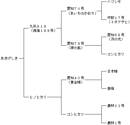 あきげしきの来歴