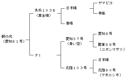 朝の光の来歴