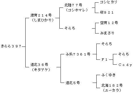 きらら397の来歴