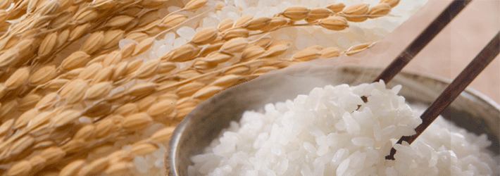 胚芽米と分づき米の違い